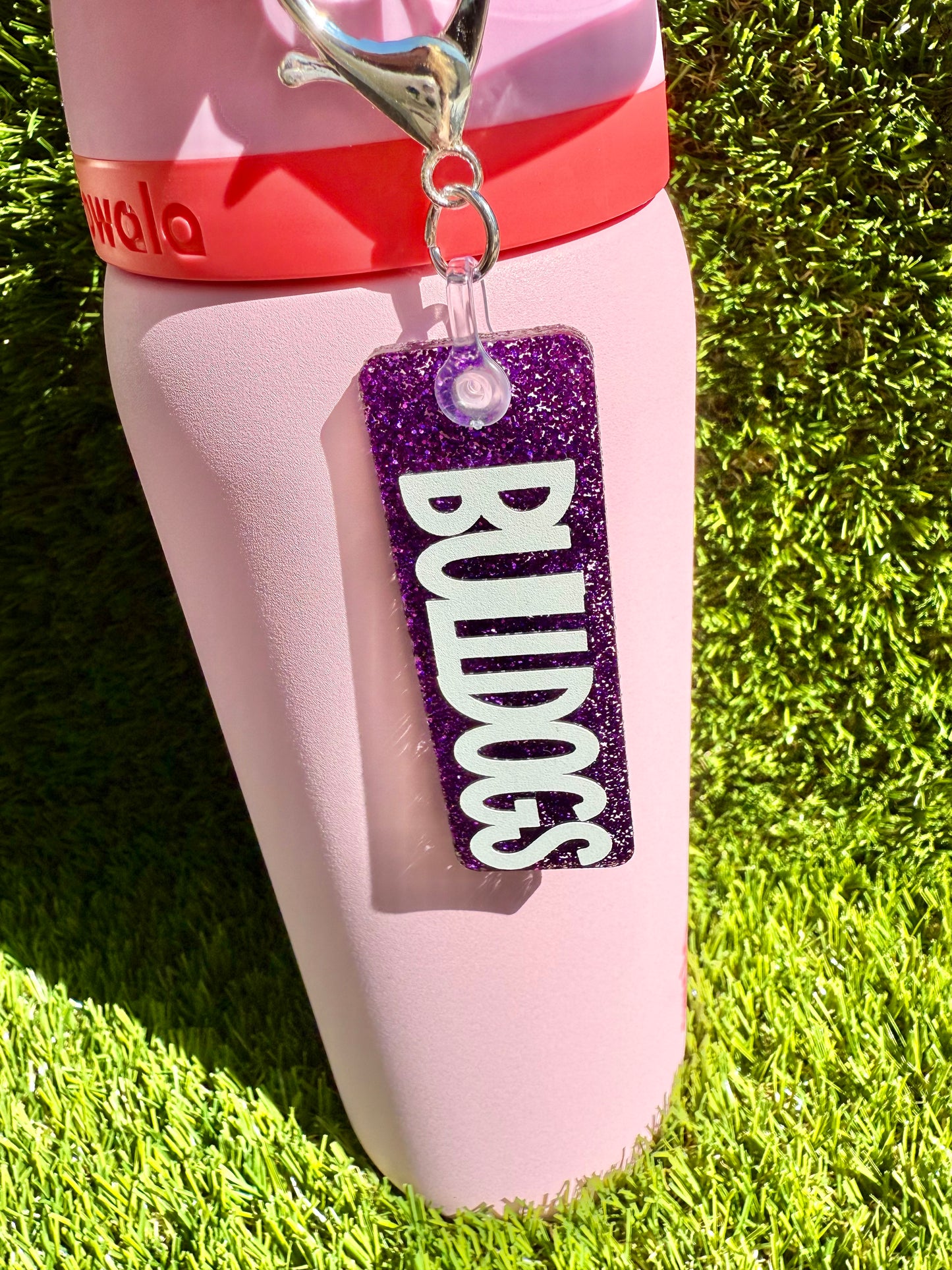 School Spirit Bottle Tag