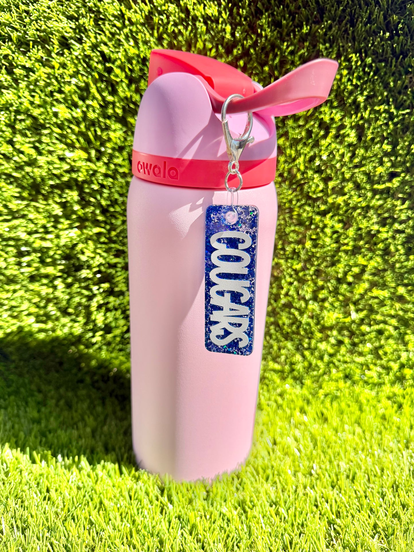 School Spirit Bottle Tag