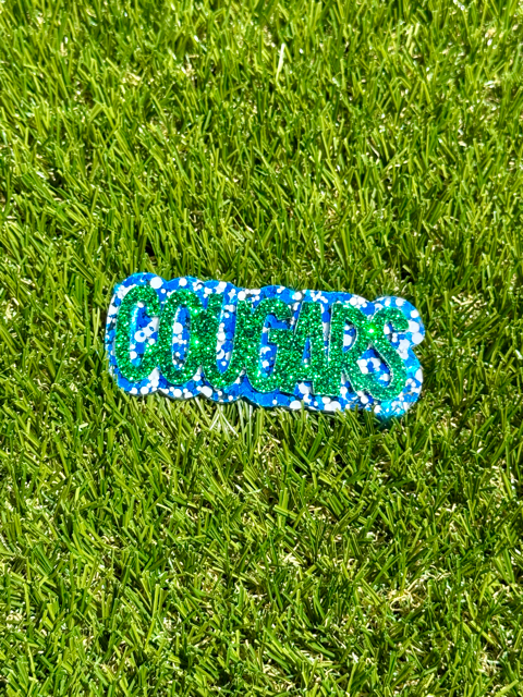 School Spirit Alligator Clips