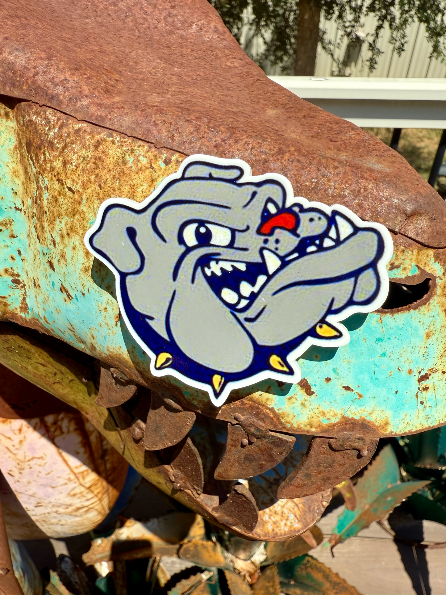 School Spirit Acrylic Magnets