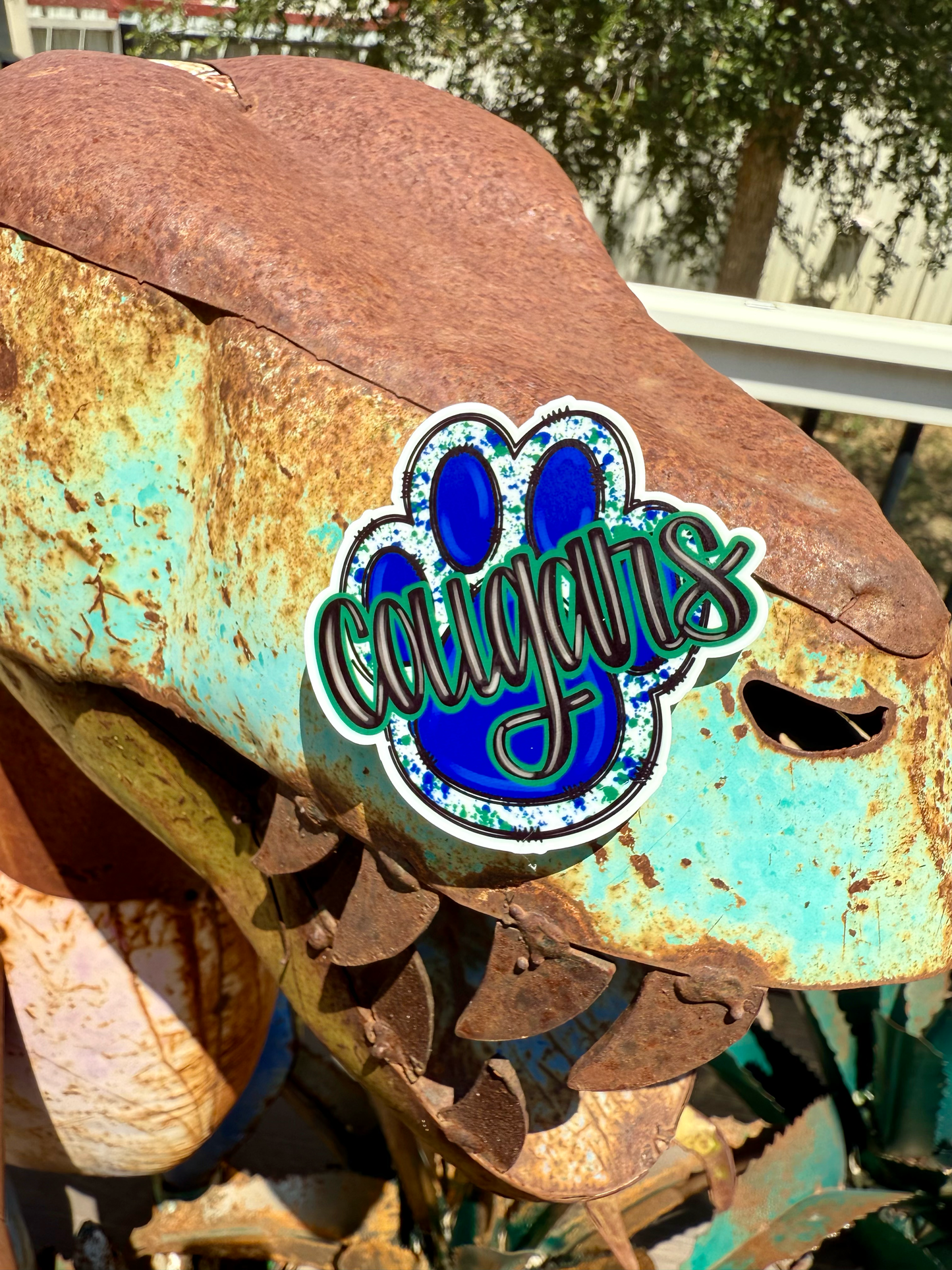 School Spirit Acrylic Magnets