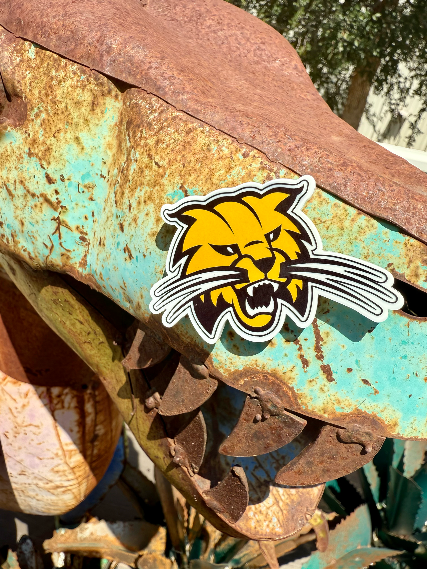 School Spirit Acrylic Magnets