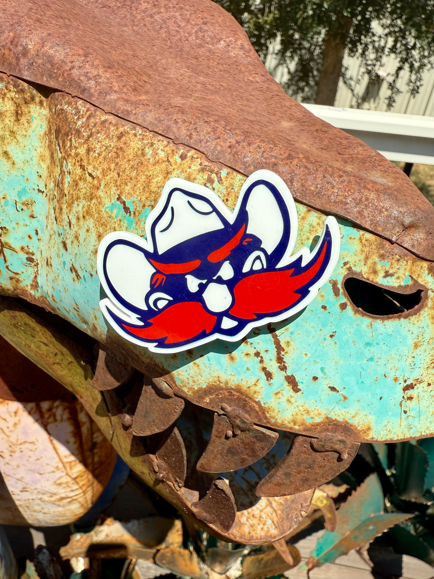 School Spirit Acrylic Magnets