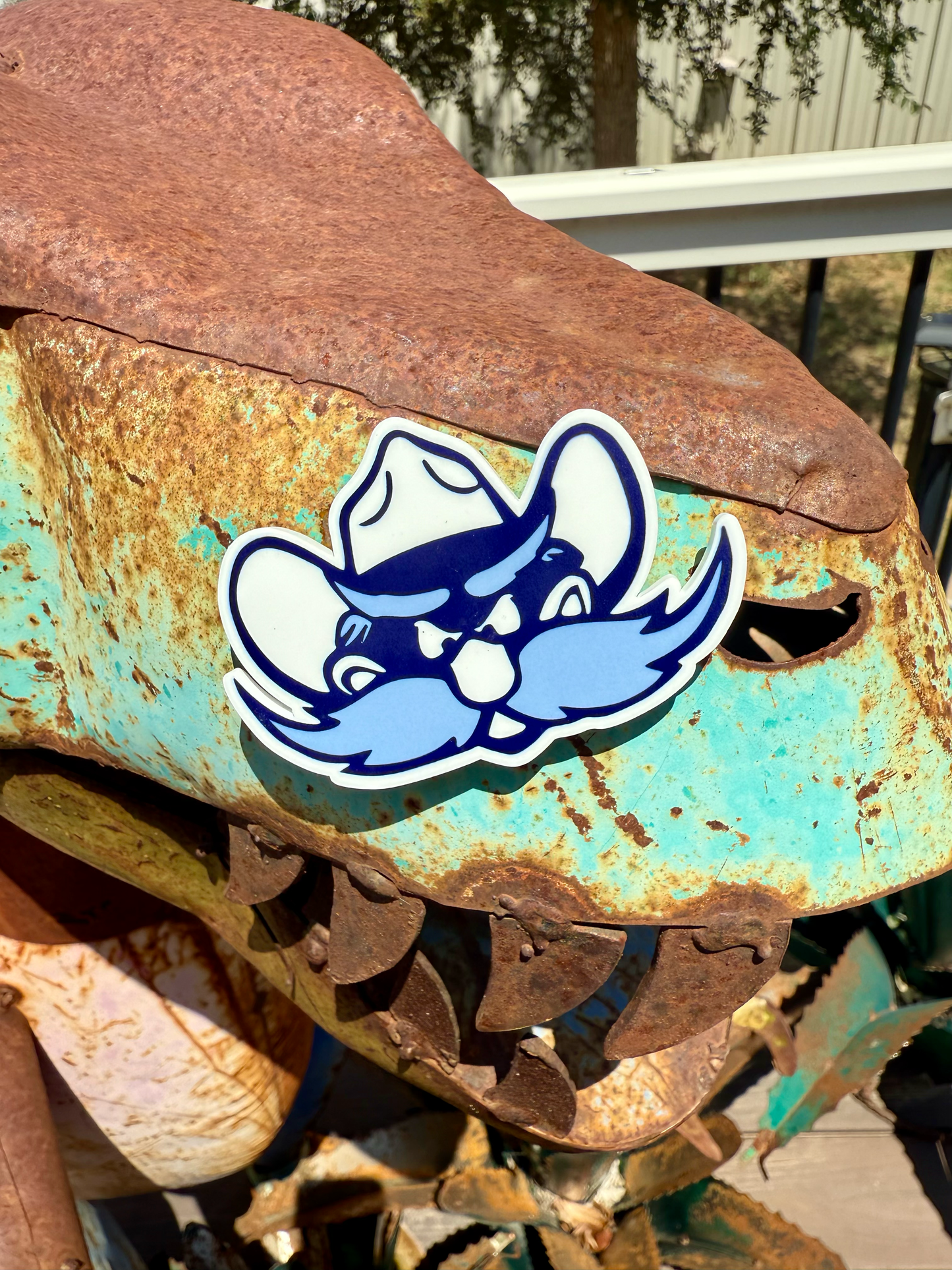 School Spirit Acrylic Magnets