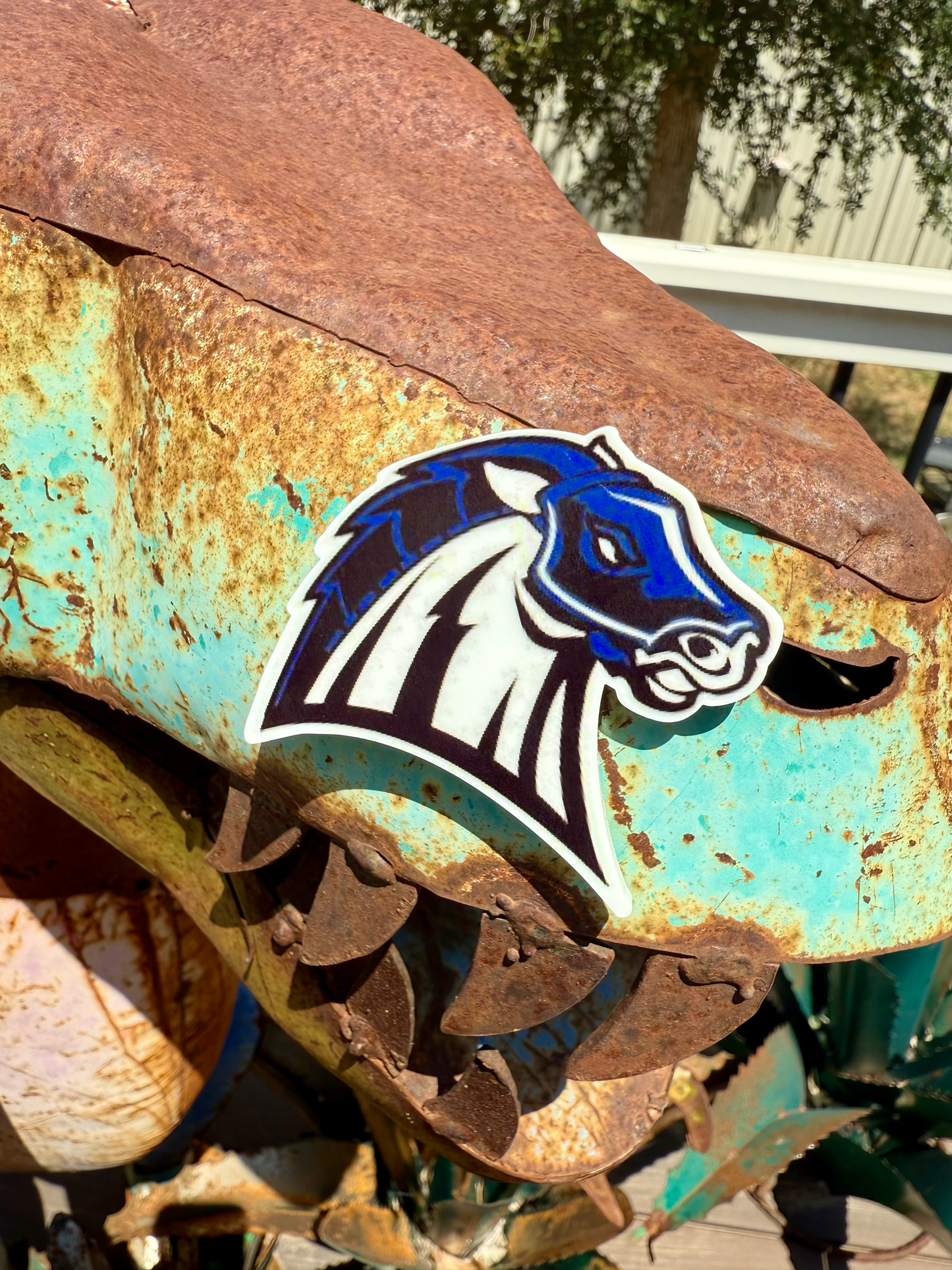 School Spirit Acrylic Magnets